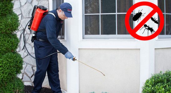Bayrampaşa Hamam Böceği İlaçlama böcek ilaçlama ve haşere kontrolü — ilaclama-tr.com